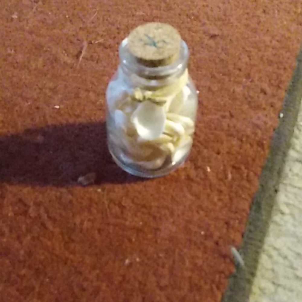 Sea shells in a jar with cork.